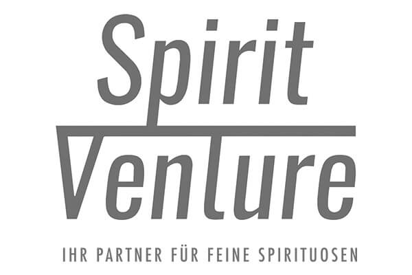 Logo Spirit Venture